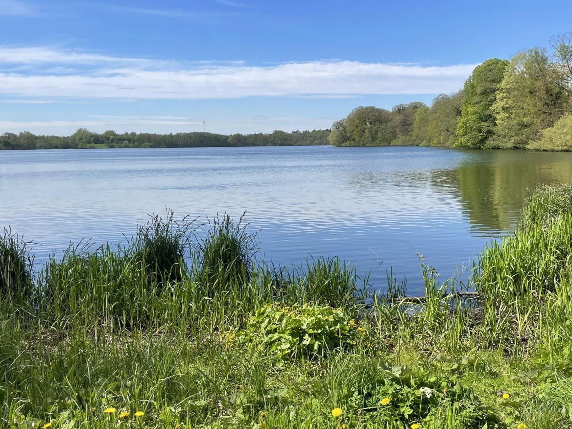 Ferienwohnung Flat In Eutin On The Kleiner Eutiner See Lake Exterior foto